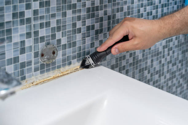Best Mold Remediation Experts  in Yutan, NE