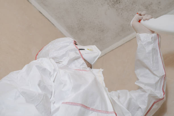 Best Crawl Space Mold Removal  in Yutan, NE